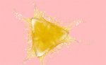 Splash Triangle