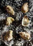 Oysters