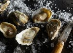 Oysters