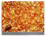 Hot Dog Art