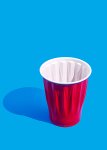 Everyday Cup