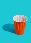 Seasonal Cup