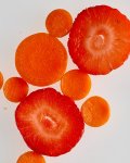 Carrots and Strawberries