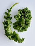 Kale