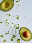 Pea Shoots and Avocados