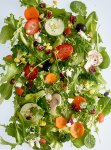 Salad Mix