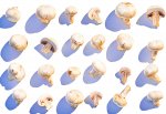 Mushrooms