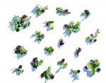 Spring Mix