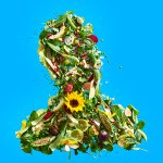 Salad Person