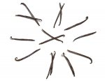 Vanilla Bean