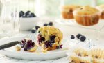 Half-Eaten Blueberry Muffin