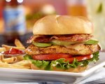 Grilled Chicken Sandwich