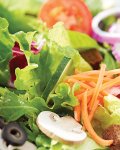 Salad Close-Up
